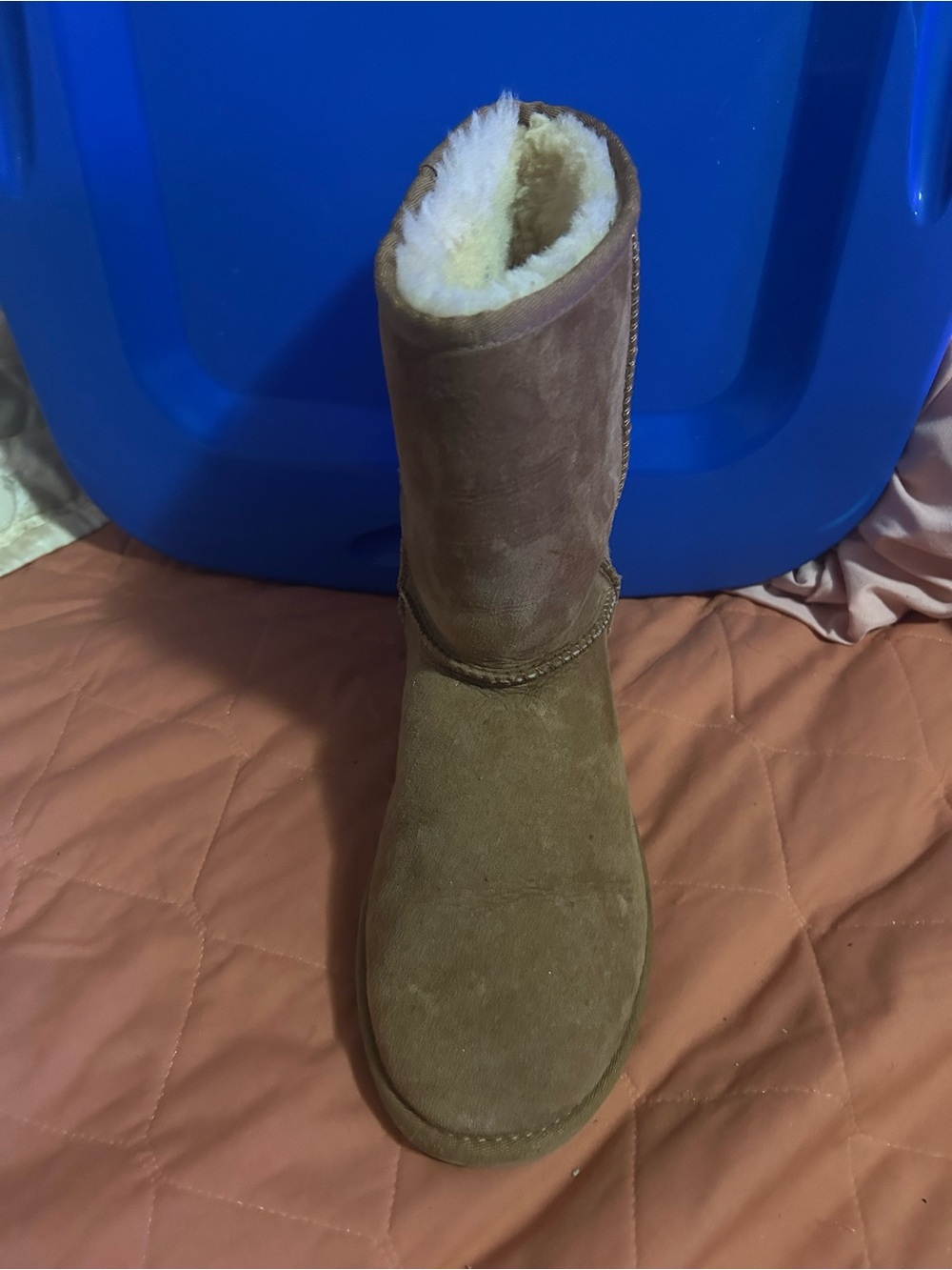 UGG Chestnut Short Shearling Suede Boots